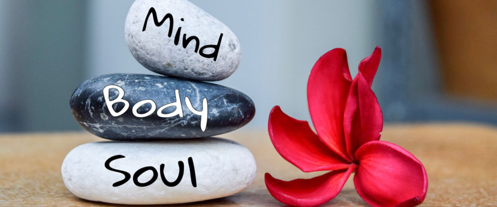 mind, body, soul rocks and red flower