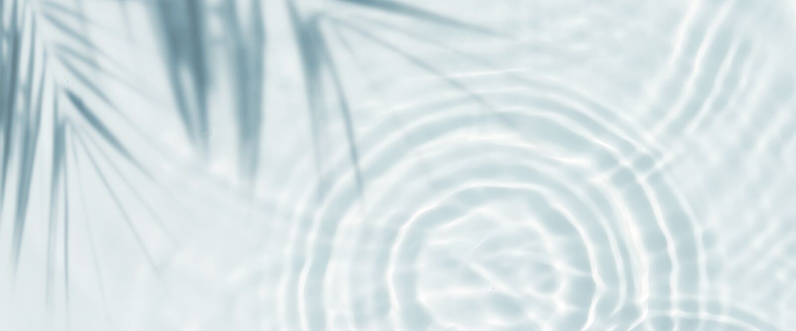 shadow of palm frond over water